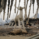 Image for article titled 16 Scary Photos of California's Wildfires